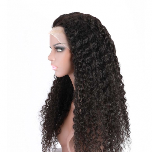 Long Human Hair Curly Wigs Full Lace Wigs For Black Women Pre Plucked Affordable HAIRCC Hair