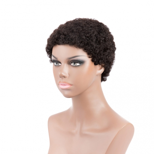 Cheap Human Hair Wigs Short African American Wigs Evova Machine Made Non Lace Wigs