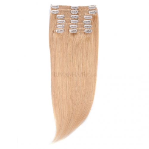Clip In Hair Extensions 8pcs/Pack Natural Blonde #24 10in-24in Remy Human Hair Extensions HAIRCC Hair
