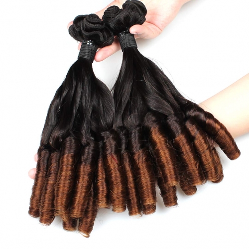 Double Drawn Brazilian Human Hair Weft Funmi Curl 3 Bundles EBBA Bouncy Ombre Hair Weave